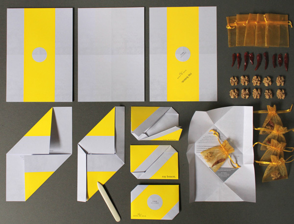 RAY LEMON branding, invitation concept & web design 09