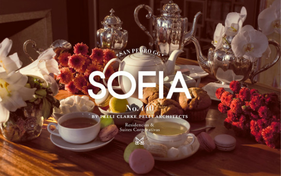 Sofia Brand Design 01