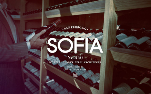 Sofia Brand Design 11