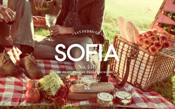 Sofia Brand Design 15