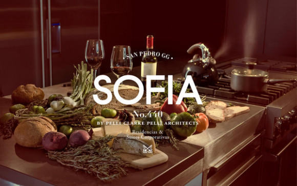 Sofia Brand Design 24