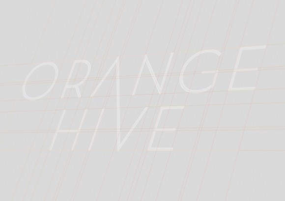 Orange Hive communication design 03