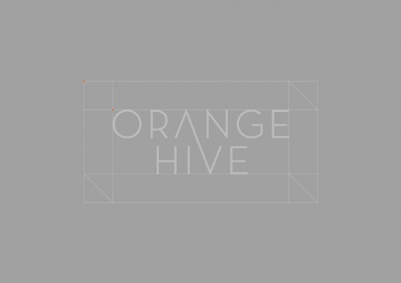 Orange Hive communication design 04