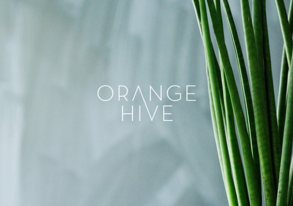 Orange Hive communication design 25