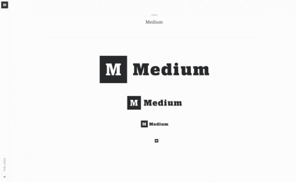 Medium Web Brand Development 06