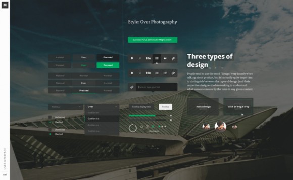 Medium Web Brand Development 20