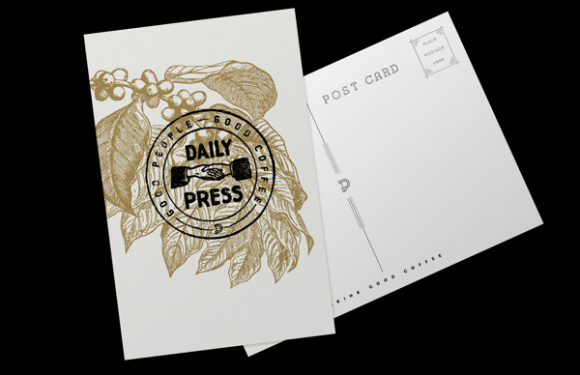 Daily Press Identity identity Design 03