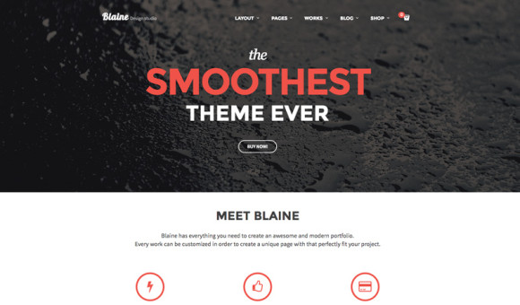 Premium-Wordpress-Portfolio-Themes_11