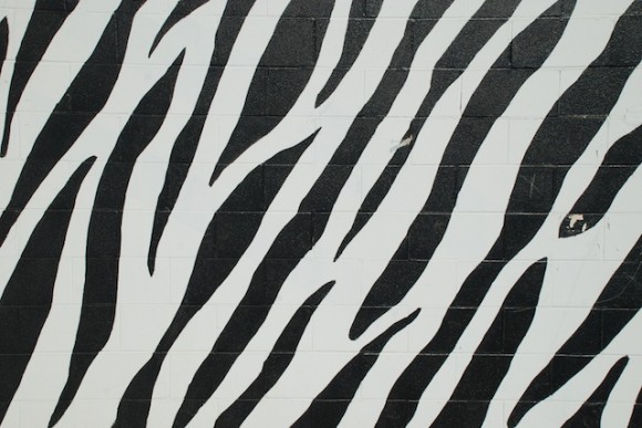 Zebra Print Brick Texture 003