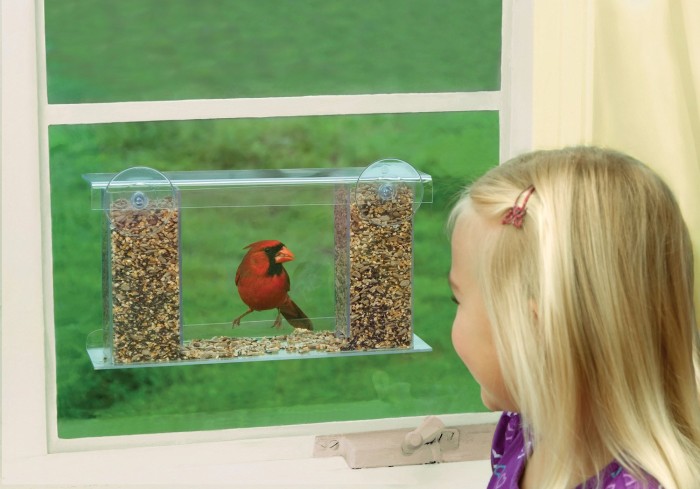 One Way Mirror Window Bird Feeder